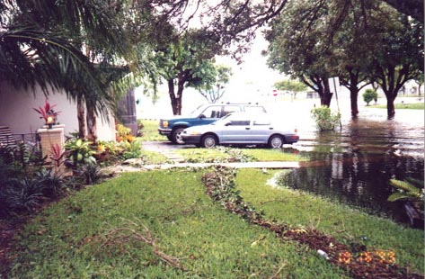 front yard after hurricane went by