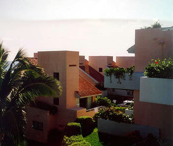View of the villas area and the lush surrounding vegetation